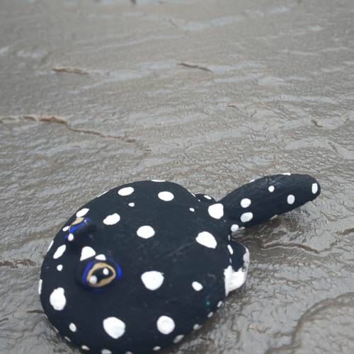 ポルカドットスティングレイ その他置物 A・D・P・L 通販 11316445