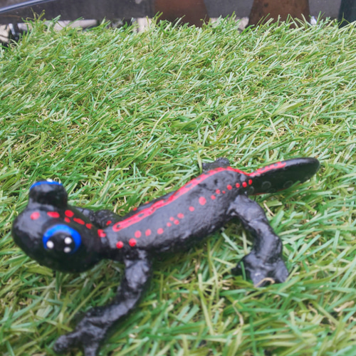 アカハライモリ その他置物 A・D・P・L 通販 11331420｜Creema