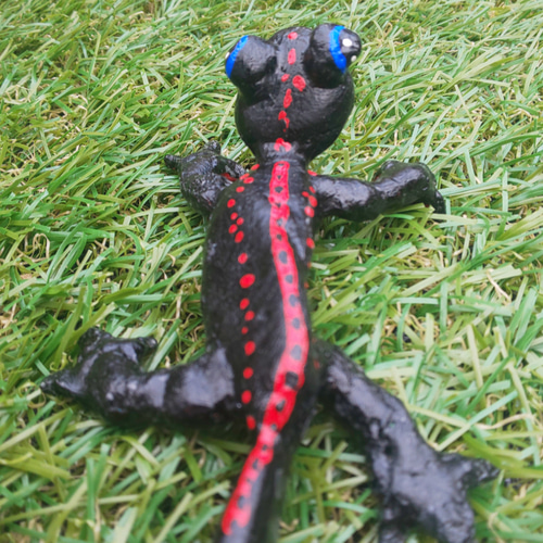 アカハライモリ その他置物 A・D・P・L 通販 11331420｜Creema(クリーマ)