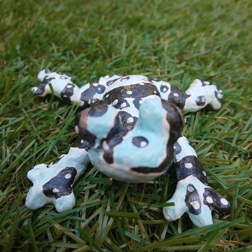 ジュウジメドクアマガエル その他置物 A・D・P・L 通販 12514135