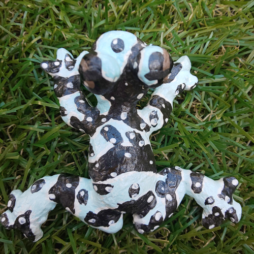 ジュウジメドクアマガエル その他置物 A・D・P・L 通販 12514135