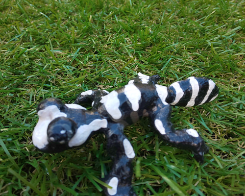 マｰブルサラマンダー その他置物 A・D・P・L 通販 12514757｜Creema