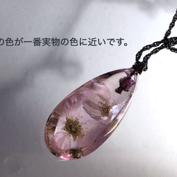 桜inクォーツペンダント 3枚目の画像