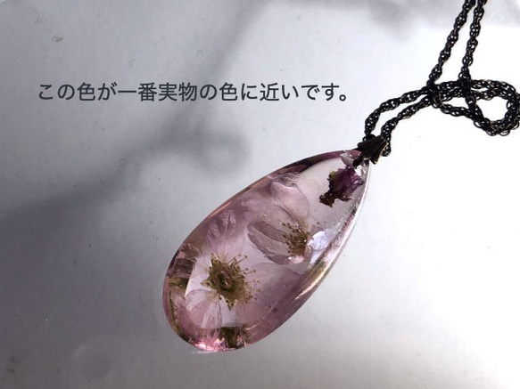 桜inクォーツペンダント 3枚目の画像
