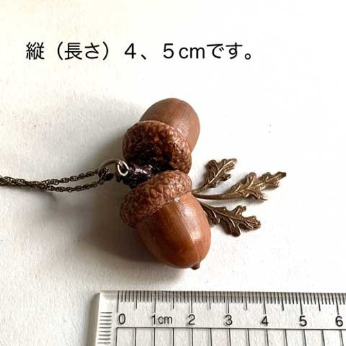 双子のどんぐりネックレス レッドオーク ー八ヶ岳の森からー  