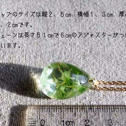 Botanical jewelry ハナイカリin クォーツ　ネックレス 2枚目の画像