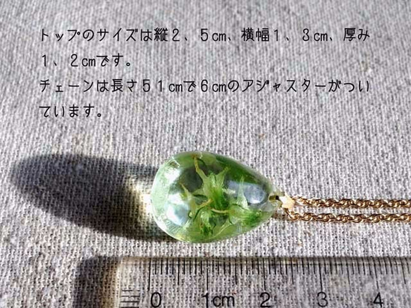 Botanical jewelry ハナイカリin クォーツ　ネックレス 2枚目の画像