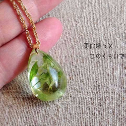 Botanical jewelry ハナイカリin クォーツ　ネックレス 3枚目の画像