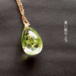 Botanical jewelry ハナイカリin クォーツ　ネックレス 4枚目の画像