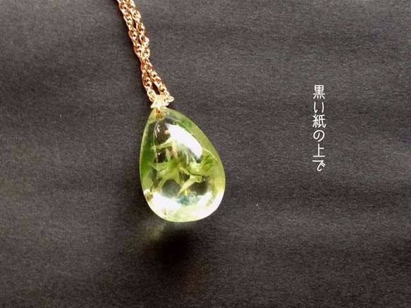 Botanical jewelry ハナイカリin クォーツ　ネックレス 4枚目の画像