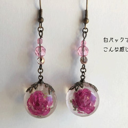 Botanical  jewelry世界で一番小さな薔薇のアンティーク風ピアス 3枚目の画像