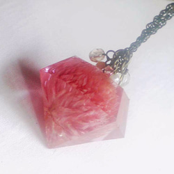 Botanical Jewelry  千日紅 1枚目の画像