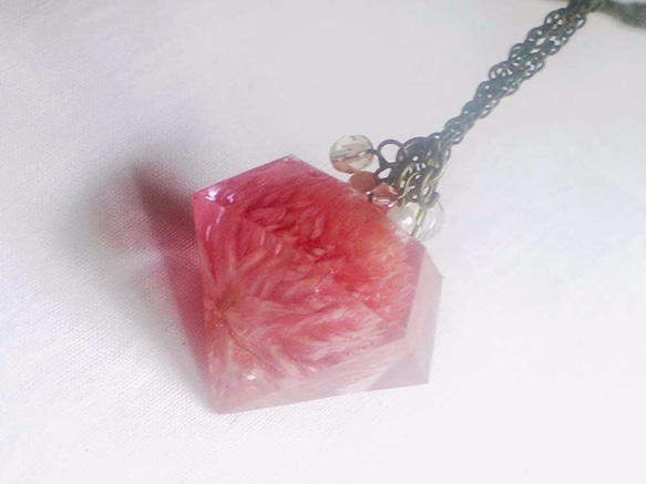 Botanical Jewelry  千日紅 1枚目の画像