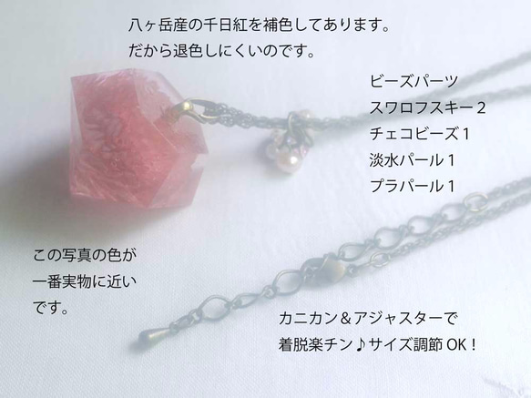 Botanical Jewelry  千日紅 2枚目の画像