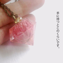 Botanical Jewelry  千日紅 4枚目の画像