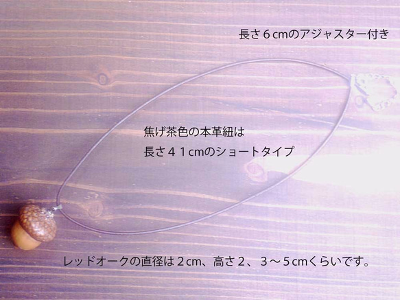 どんぐりのチョーカー S 2枚目の画像