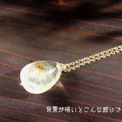 Botanical  jewelry　草牡丹inクォーツ　ネックレス 4枚目の画像