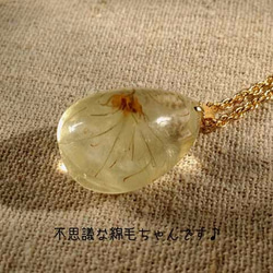 Botanical  jewelry　草牡丹inクォーツ　ネックレス 7枚目の画像