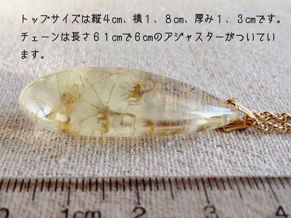 Botanical  jewelry　草牡丹inクォーツ　ネックレス L 2枚目の画像