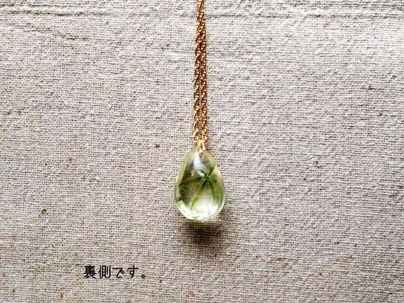 Botanical  jewelry　ホソバノアマナ 4枚目の画像