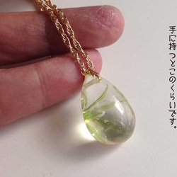 Botanical  jewelry　ホソバノアマナ 5枚目の画像