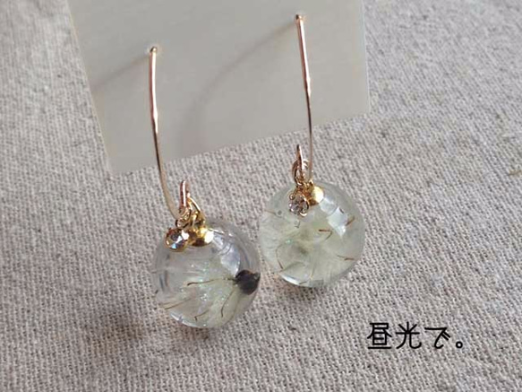 K14GF Botanical  jewelry　草牡丹inダイヤモンドダスト　フックピアス 3枚目の画像