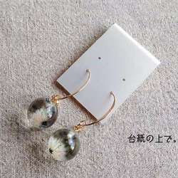 K14GF Botanical  jewelry　草牡丹inダイヤモンドダスト　フックピアス 5枚目の画像
