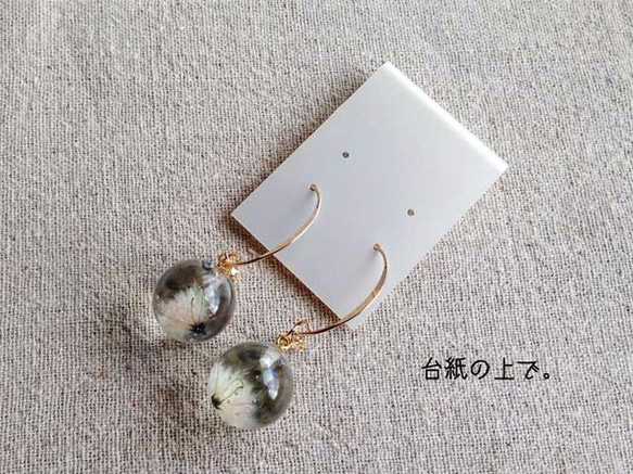 K14GF Botanical  jewelry　草牡丹inダイヤモンドダスト　フックピアス 5枚目の画像