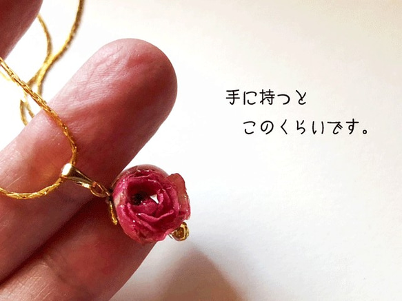 最小的玫瑰項鍊在世界上的深粉色 第4張的照片