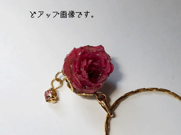 最小的玫瑰項鍊在世界上的深粉色 第5張的照片