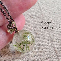 Botanical  jewelry　ワイルドレースフラワー　ネックレス 3枚目の画像