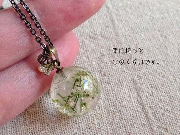 Botanical  jewelry　ワイルドレースフラワー　ネックレス 3枚目の画像