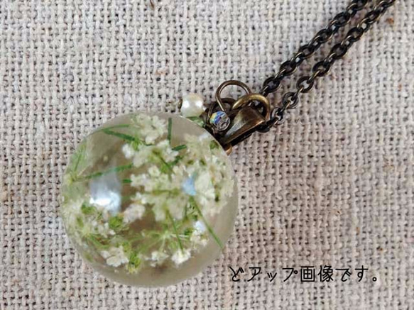 Botanical  jewelry　ワイルドレースフラワー　ネックレス 4枚目の画像