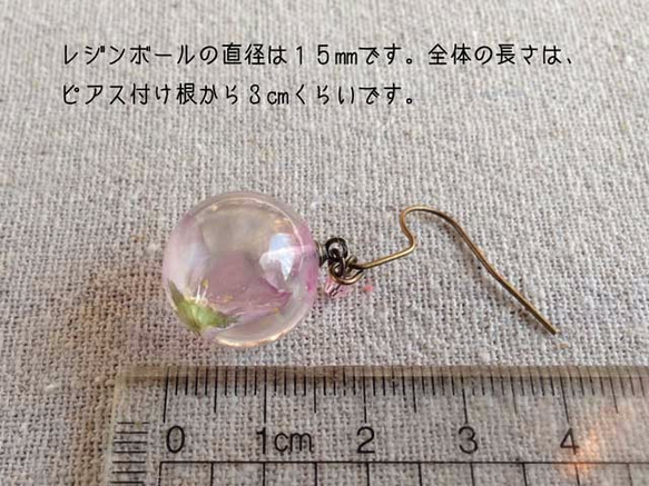 Botanical jewelry 桜のフックピアス　 2枚目の画像