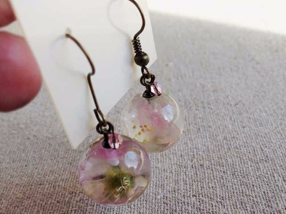 Botanical jewelry 桜のフックピアス　 4枚目の画像