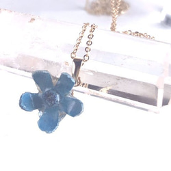 Botanical Jewelry Blue Star 項鍊 第1張的照片