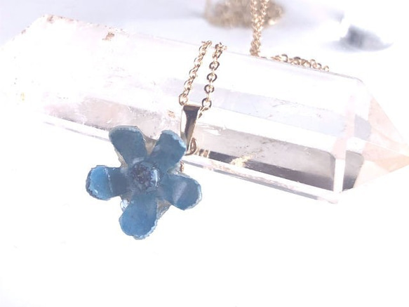 Botanical Jewelry Blue Star 項鍊 第1張的照片