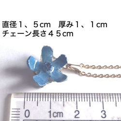 Botanical Jewelry Blue Star 項鍊 第2張的照片