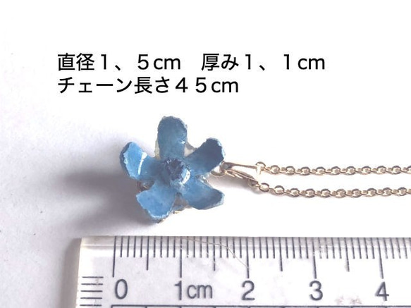 Botanical Jewelry Blue Star 項鍊 第2張的照片