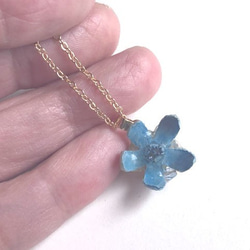 Botanical Jewelry Blue Star 項鍊 第3張的照片