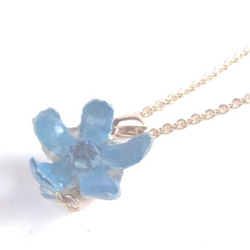 Botanical Jewelry Blue Star 項鍊 第5張的照片