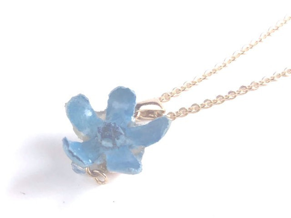 Botanical Jewelry Blue Star 項鍊 第5張的照片