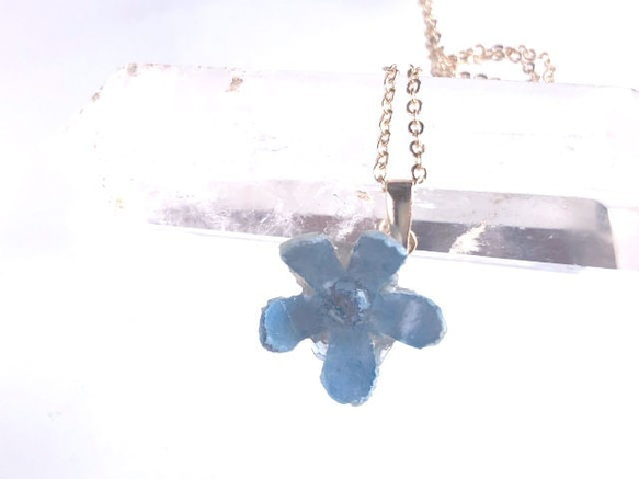 Botanical Jewelry Blue Star 項鍊 第7張的照片