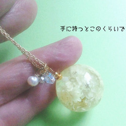 Botanical jewelry  ヤマハハコ L　ネックレス 3枚目の画像