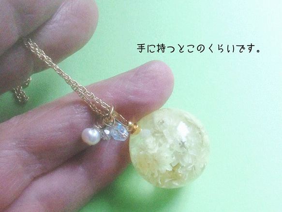 Botanical jewelry  ヤマハハコ L　ネックレス 3枚目の画像