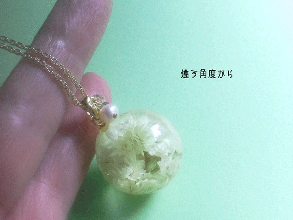 Botanical jewelry  ヤマハハコ L　ネックレス 4枚目の画像