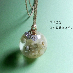Botanical jewelry  ヤマハハコ L　ネックレス 5枚目の画像