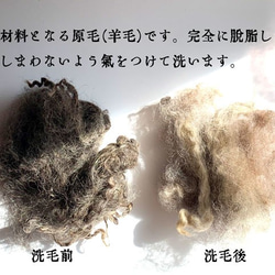 割草針薩賓♪「不生鏽的牧場」針墊，已經製作了30年的立體模型風格 第7張的照片