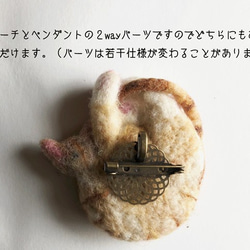 アンモニャイトH　茶トラの子猫　ブローチ＆ペンダント　形状安定羊毛フェルト 3枚目の画像