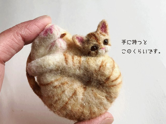 アンモニャイトH　茶トラの子猫　ブローチ＆ペンダント　形状安定羊毛フェルト 4枚目の画像